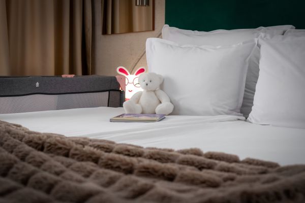 snhotel-18071119FCC-E80F-CB8D-F7E9-B707341482D4.jpg